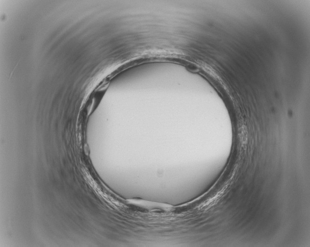 X0000053090981200508081306