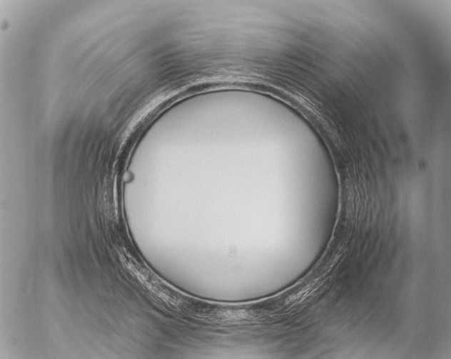 X0000053090982200508081306