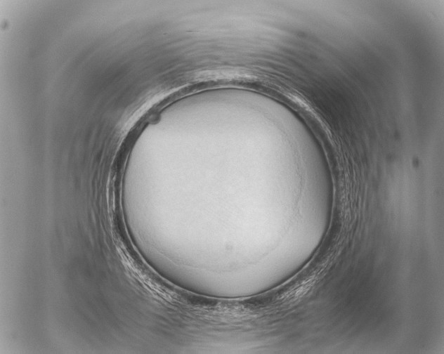 X0000053090983200508081306