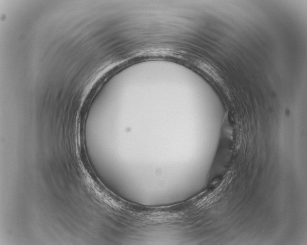 X0000053090984200508081306