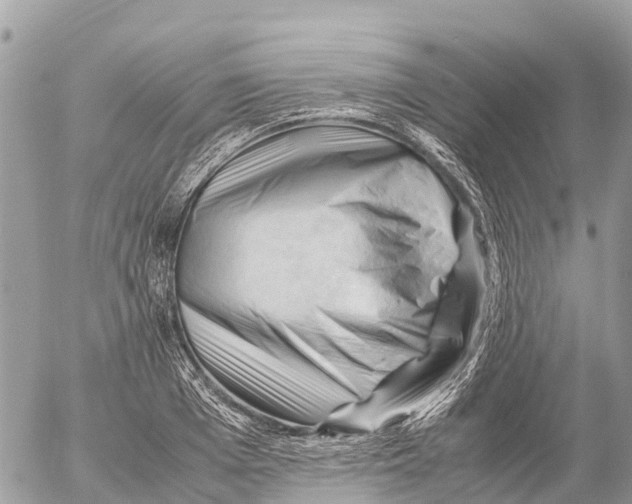 X0000053090985200508081306