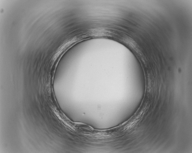 X0000053090986200508081306