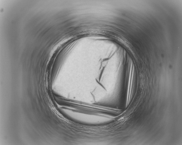 X0000053090987200508081306