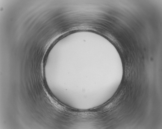 X0000053090988200508081306