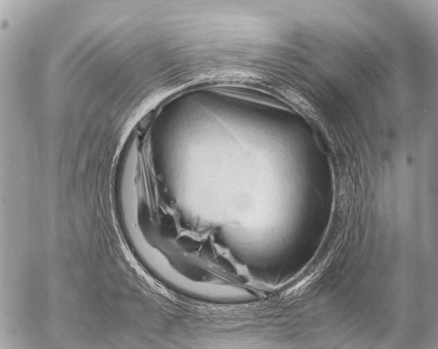 X0000053090989200508081306