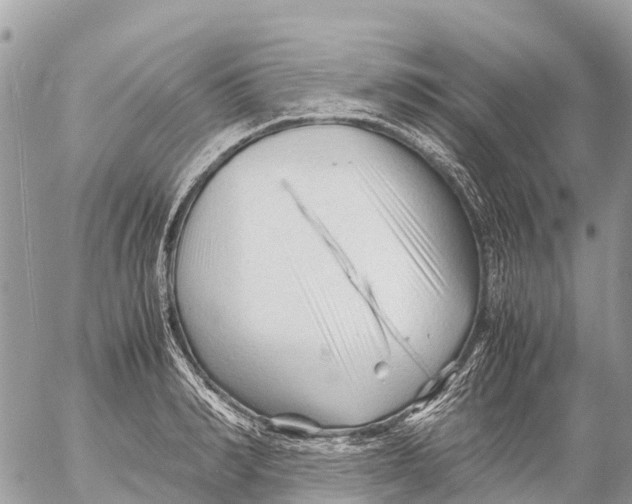 X0000053090990200508081306