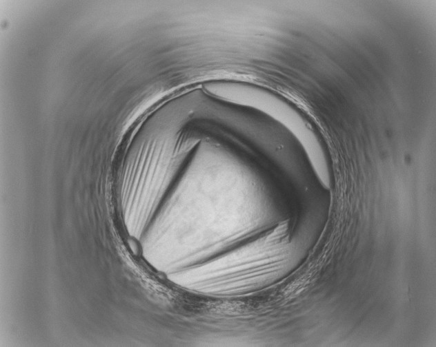 X0000053090991200508081306