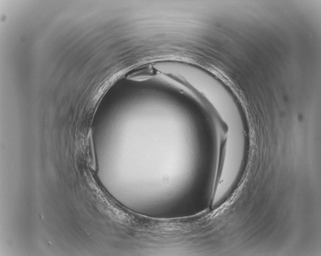 X0000053090993200508081306