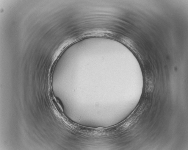 X0000053090994200508081306