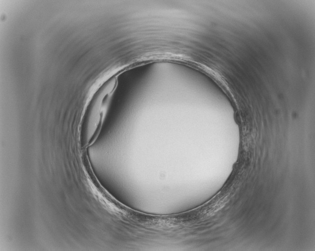 X0000053090995200508081306