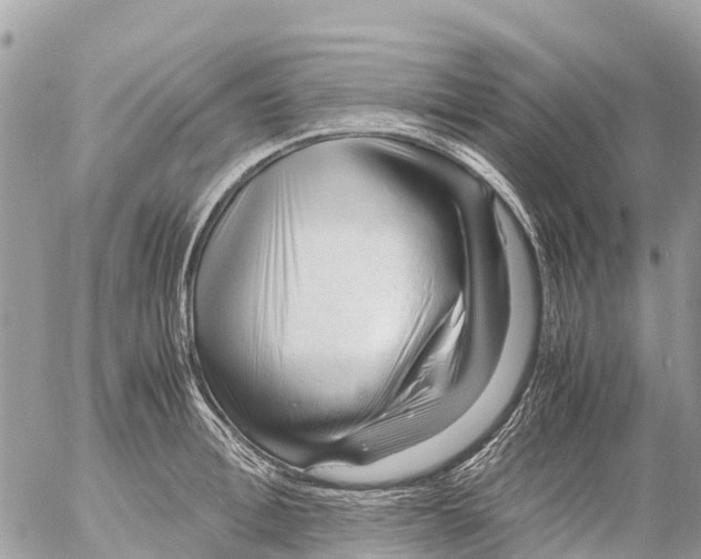 X0000053090996200508081306