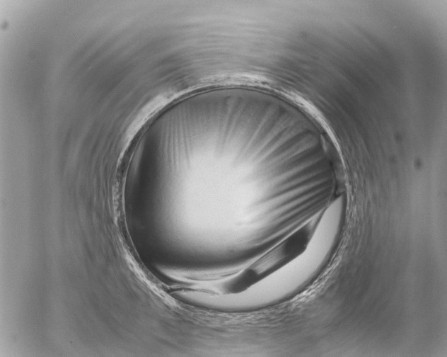 X0000053090997200508081306