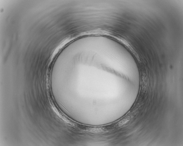 X0000053090998200508081306