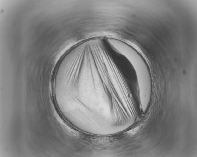 X0000053090999200508081306