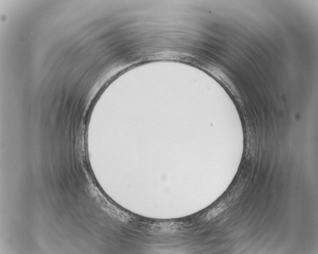 X0000053091000200508081306