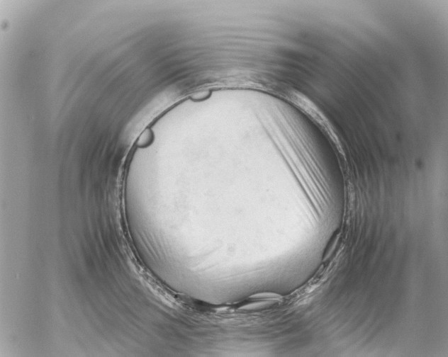 X0000053091002200508081306