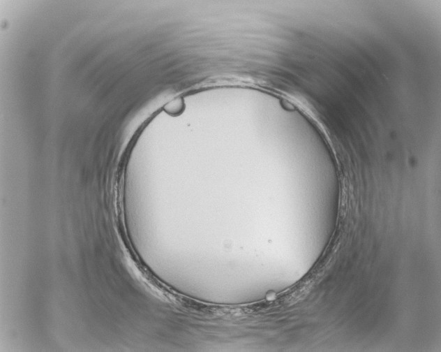 X0000053091003200508081306