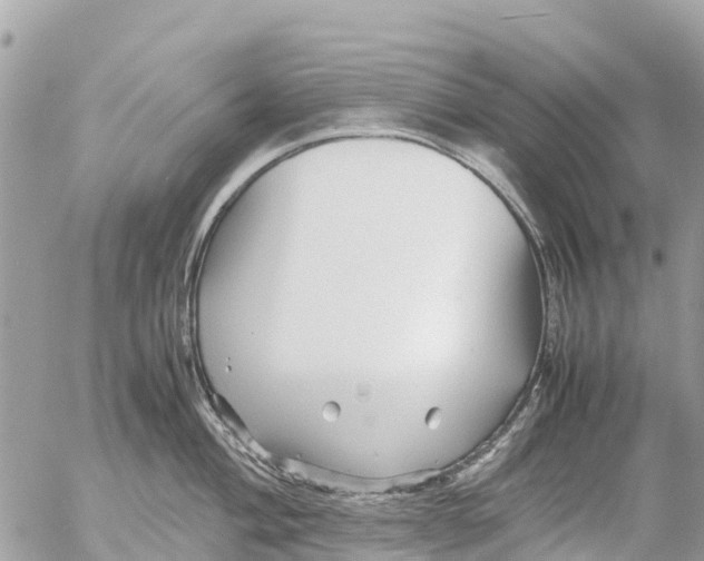 X0000053091004200508081306