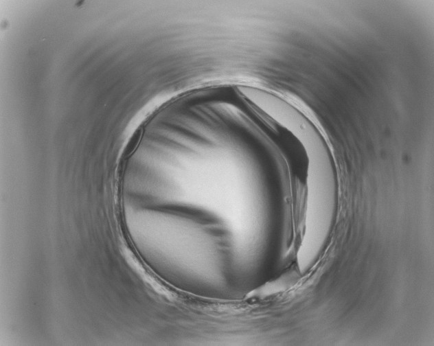 X0000053091005200508081306