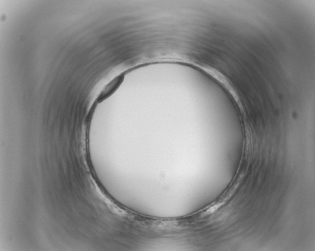 X0000053091006200508081306