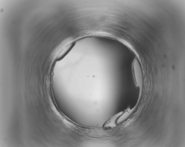 X0000053091007200508081306