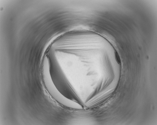 X0000053091008200508081306