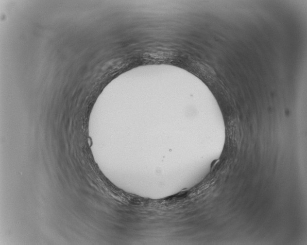 X0000053091009200508081305