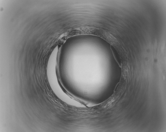 X0000053091010200508081305