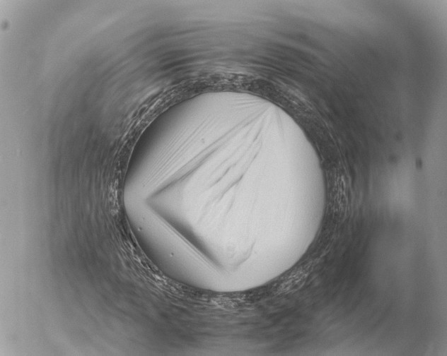 X0000053091013200508081305