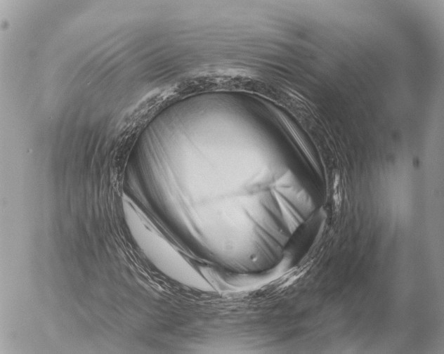 X0000053091014200508081305