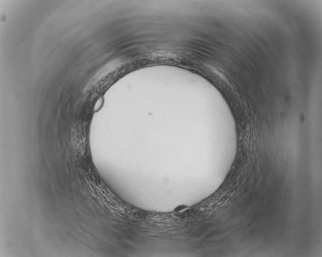 X0000053091015200508081305