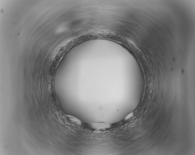 X0000053091016200508081305