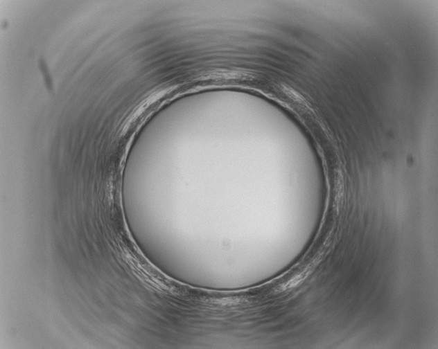 X0000053091017200508081305