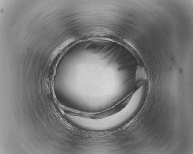 X0000053091018200508081305