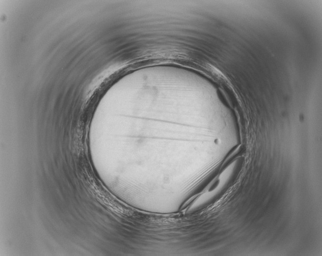 X0000053091019200508081305