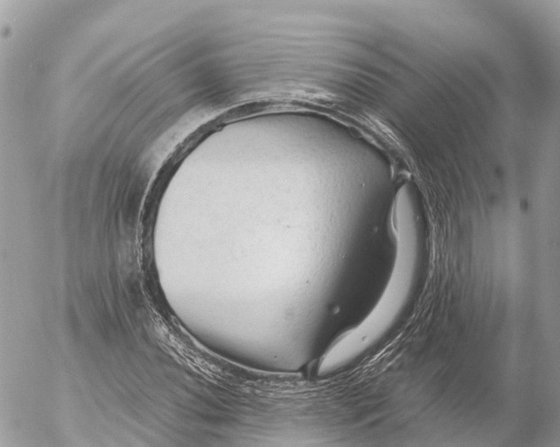 X0000053091020200508081305