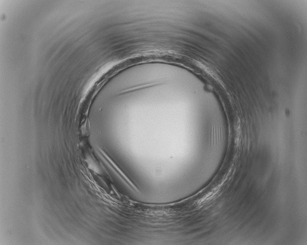 X0000053091021200508081305