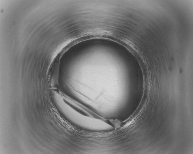 X0000053091022200508081305