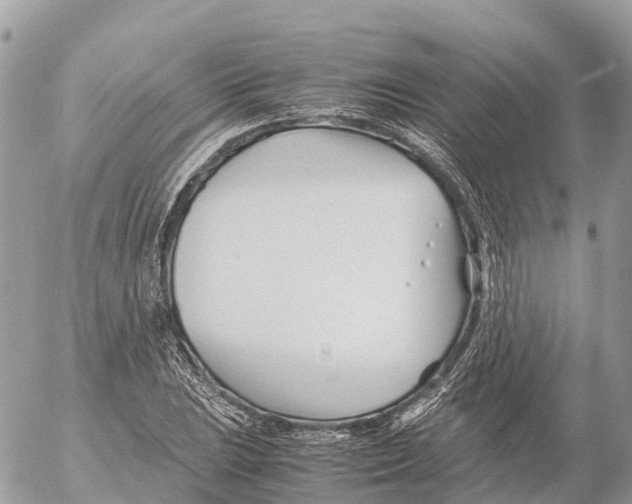 X0000053091023200508081305