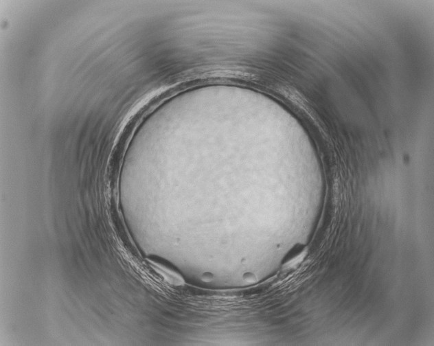 X0000053091024200508081305