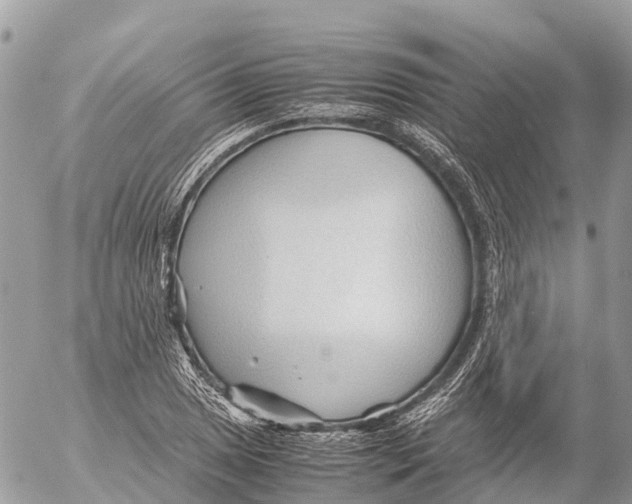 X0000053091025200508081305