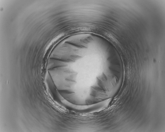 X0000053091026200508081305