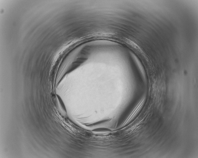 X0000053091027200508081305