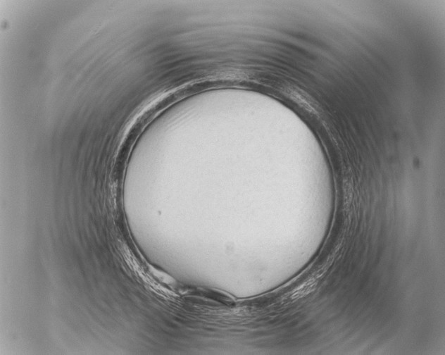 X0000053091029200508081305