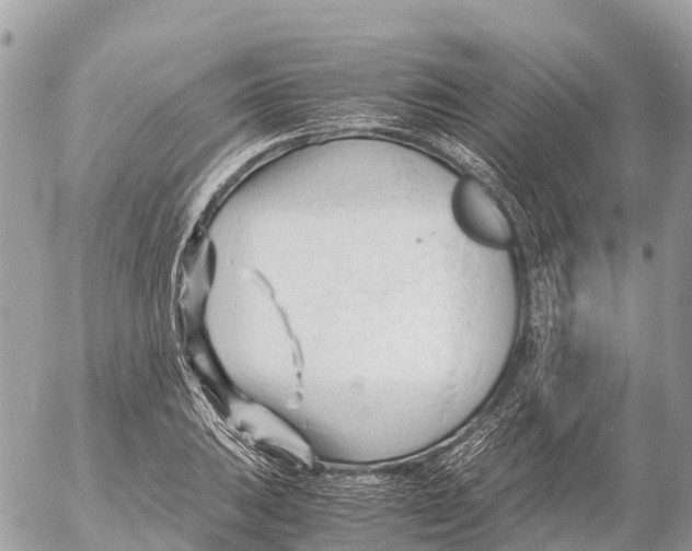 X0000053091031200508081305