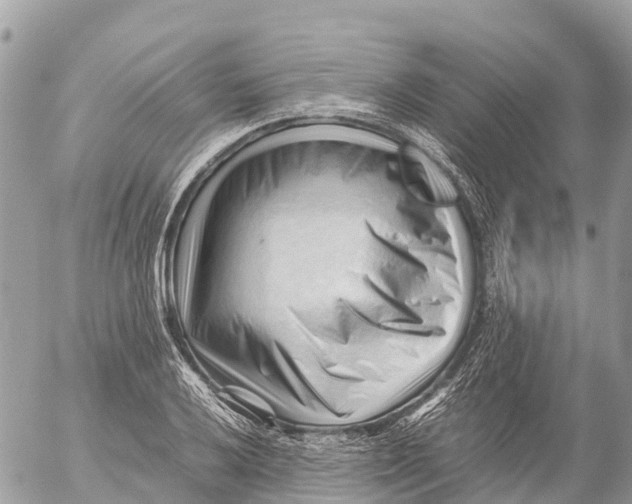 X0000053091032200508081305