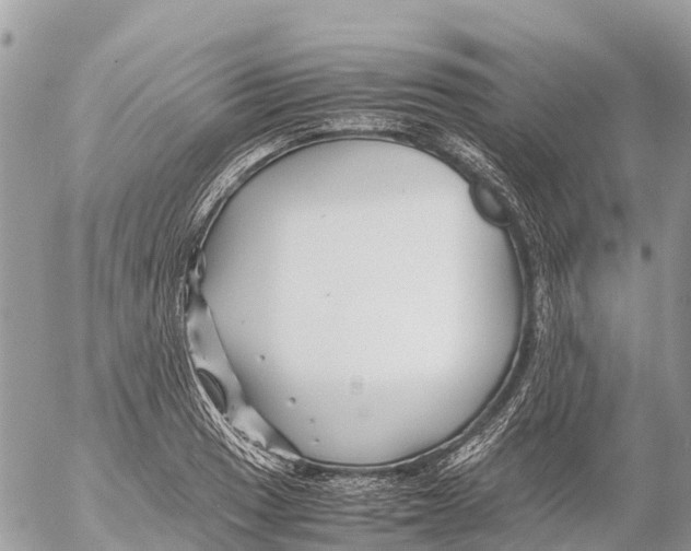 X0000053091033200508081305