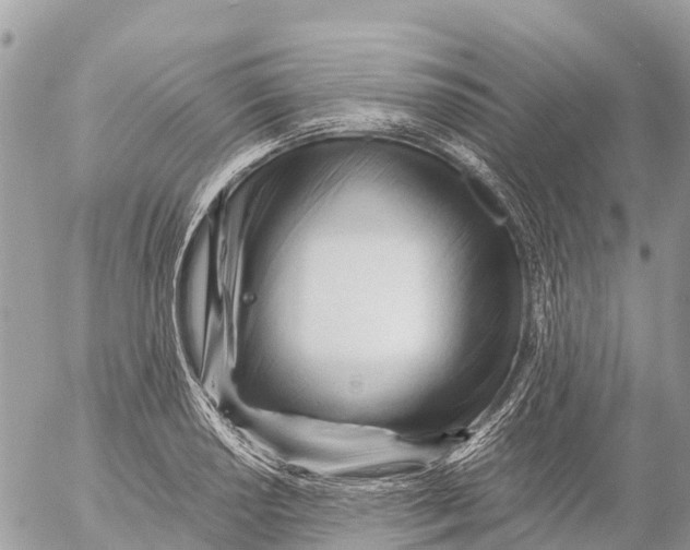 X0000053091034200508081305