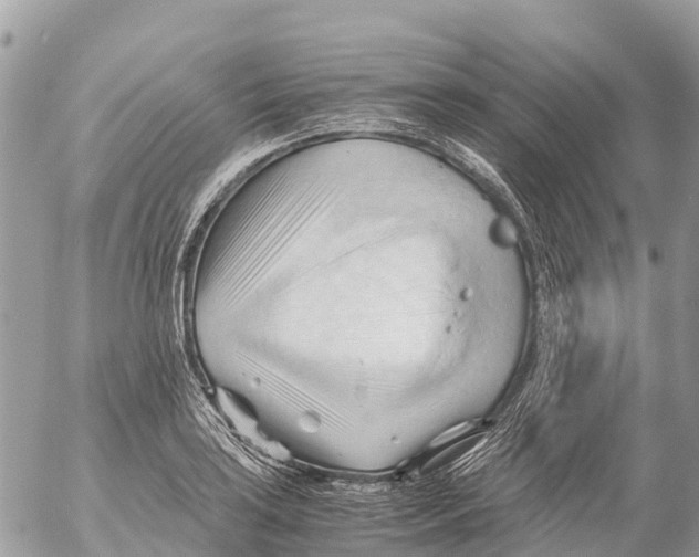 X0000053091035200508081305