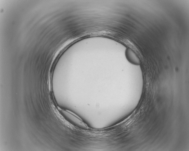 X0000053091036200508081305